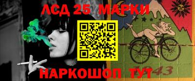винт Новозыбков
