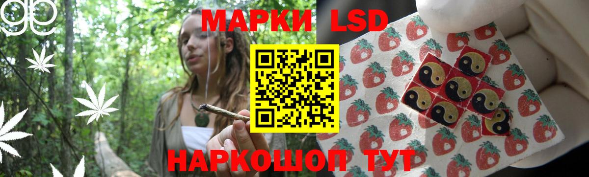 Балашов  Лсд 25 экстази  Вход с VPN  ЛСД экстази кислота 