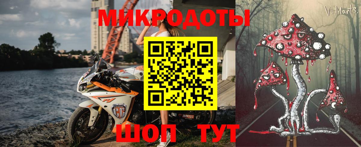 Псилоцибиновые грибы мухоморы Балашов