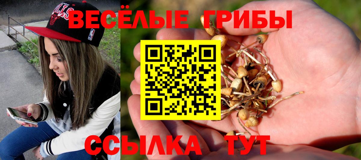 Галлюциногенные грибы GOLDEN TEACHER  Вход с VPN  Галлюциногенные грибы MAGIC MUSHROOMS  Балашов 